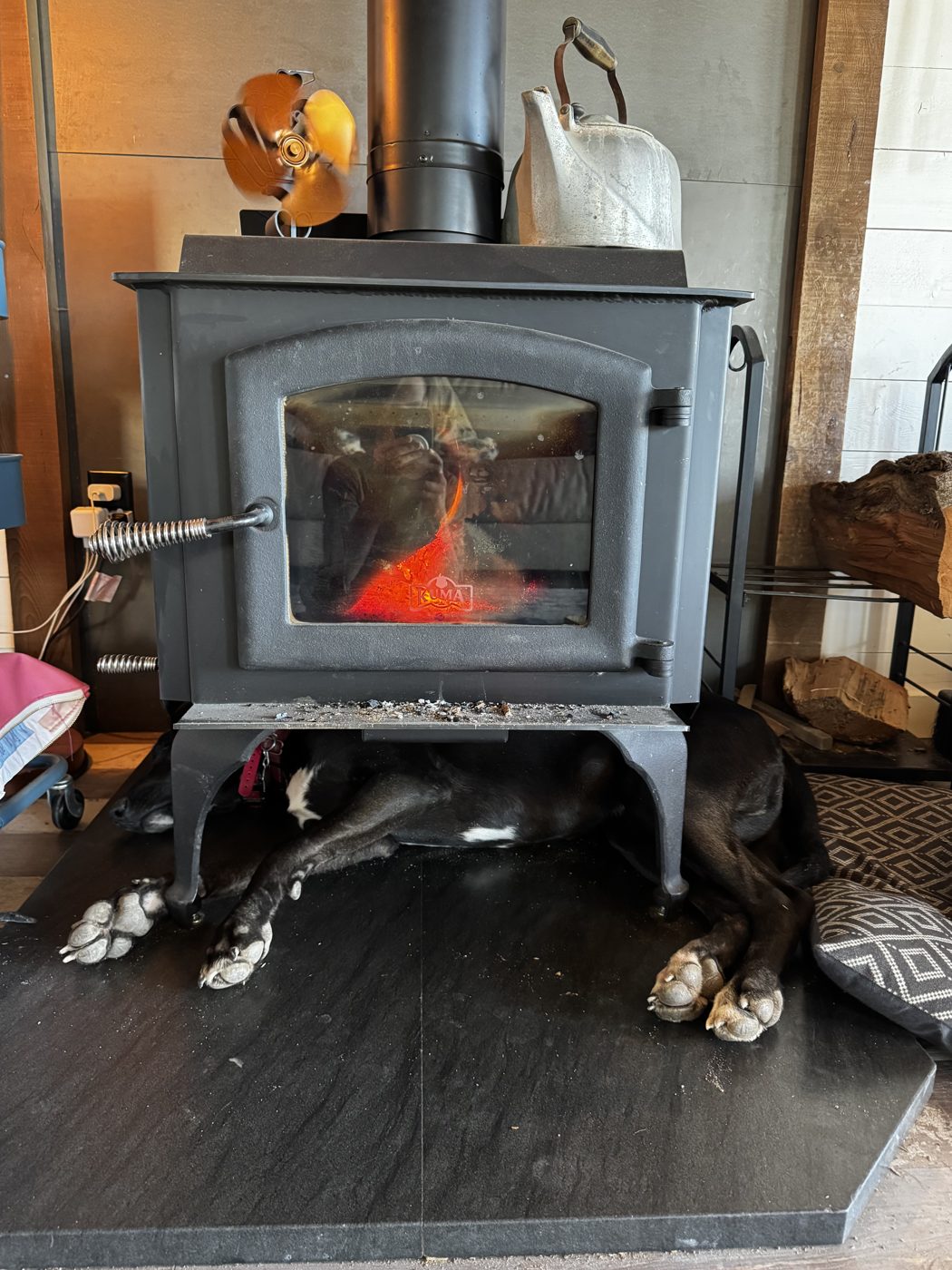 Dog asleep under a wood stove