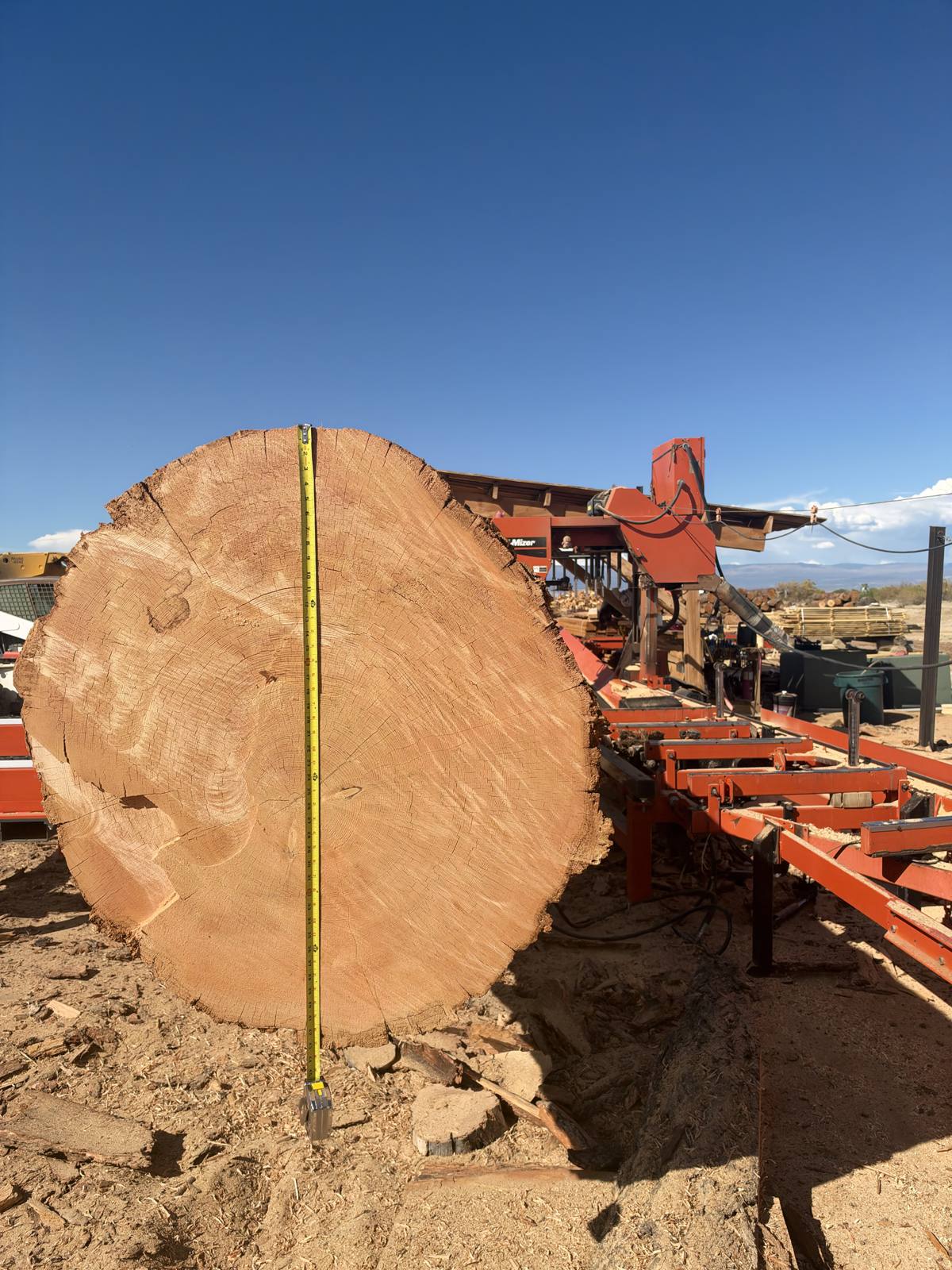 A large log on the JAMCo Wood-Mizer with a tape measure for scale